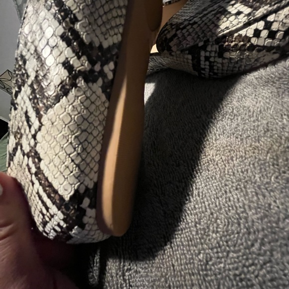 Flats - Picture 3 of 6